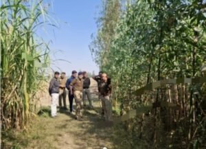 PILIBHITH शनिवार को गन्ने के खेत में गोवंशीय पशु की निर्मम हत्या