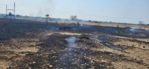 नरवाई की आग न्यायलय तक पहुंची: केबल जलने से 3 घंटे ठप रहा कामकाजआरोपी सोहेल खान पर केस, 1 लाख रुपए का नुकसान
देवेंद्र रघुवंशी, चाणक्य न्यूज गंजबासौदा। 